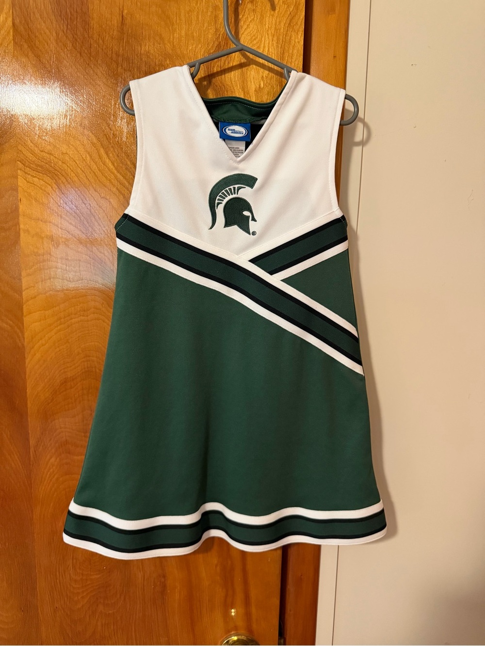 Girls Michigan state dress